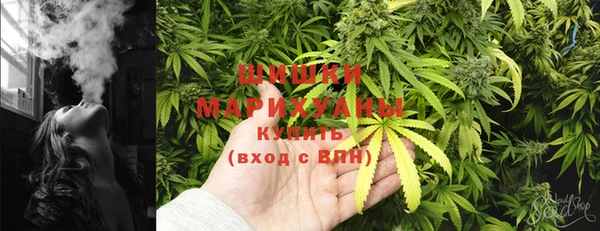 амф Корсаков