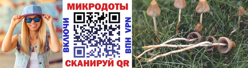 Галлюциногенные грибы GOLDEN TEACHER  Новоульяновск 